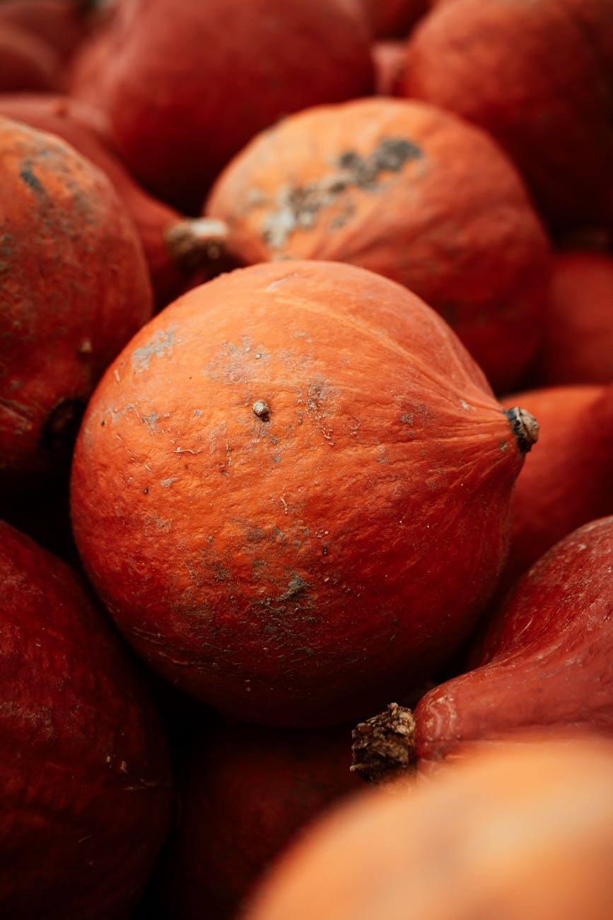 close up shot of orange pumpkin