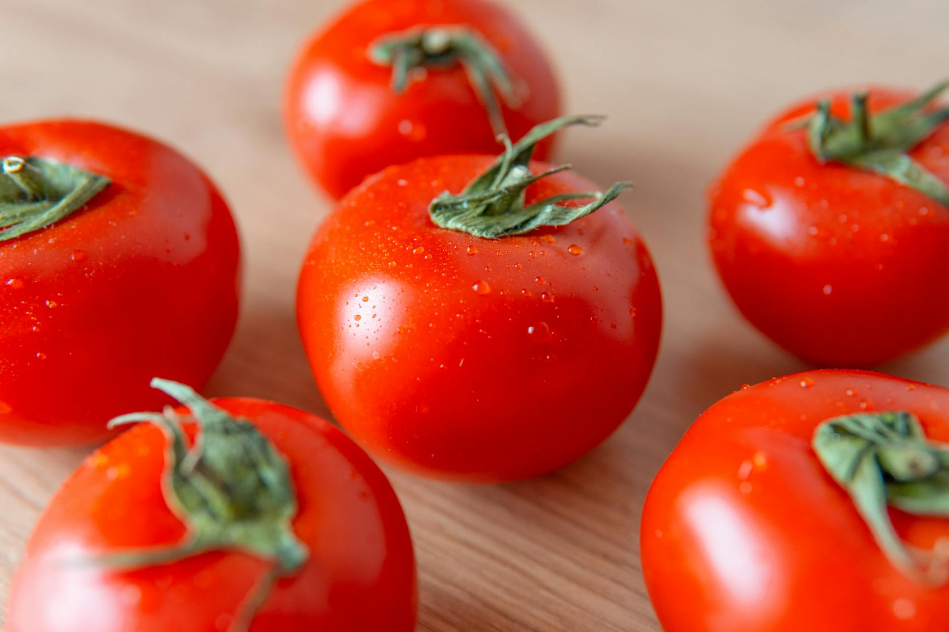 close up photo of tomatoes