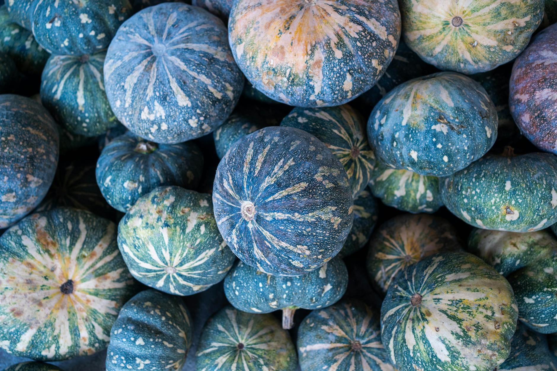 close up of green and blue pumpkins in a pile