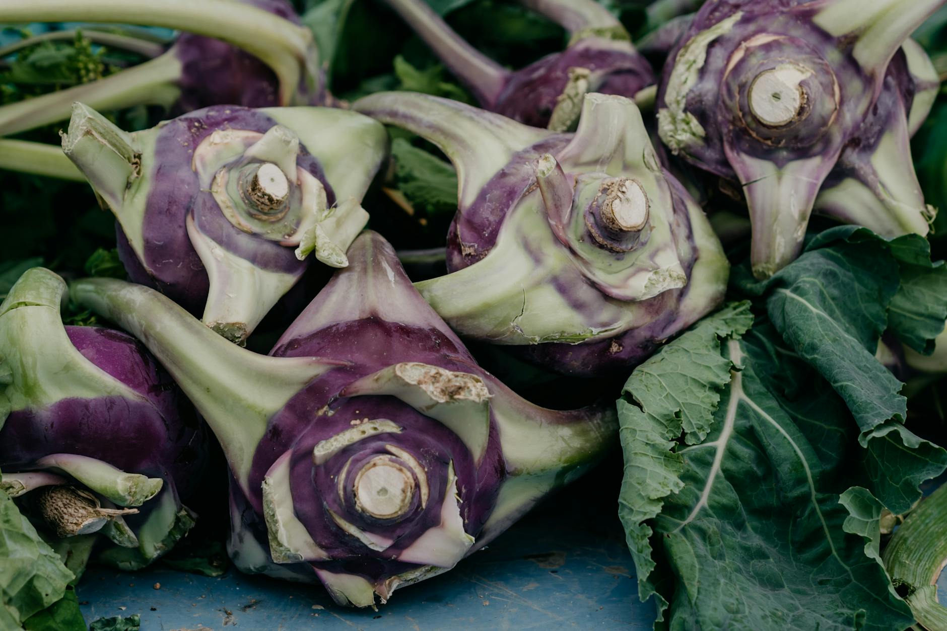 cabbages in close up photography