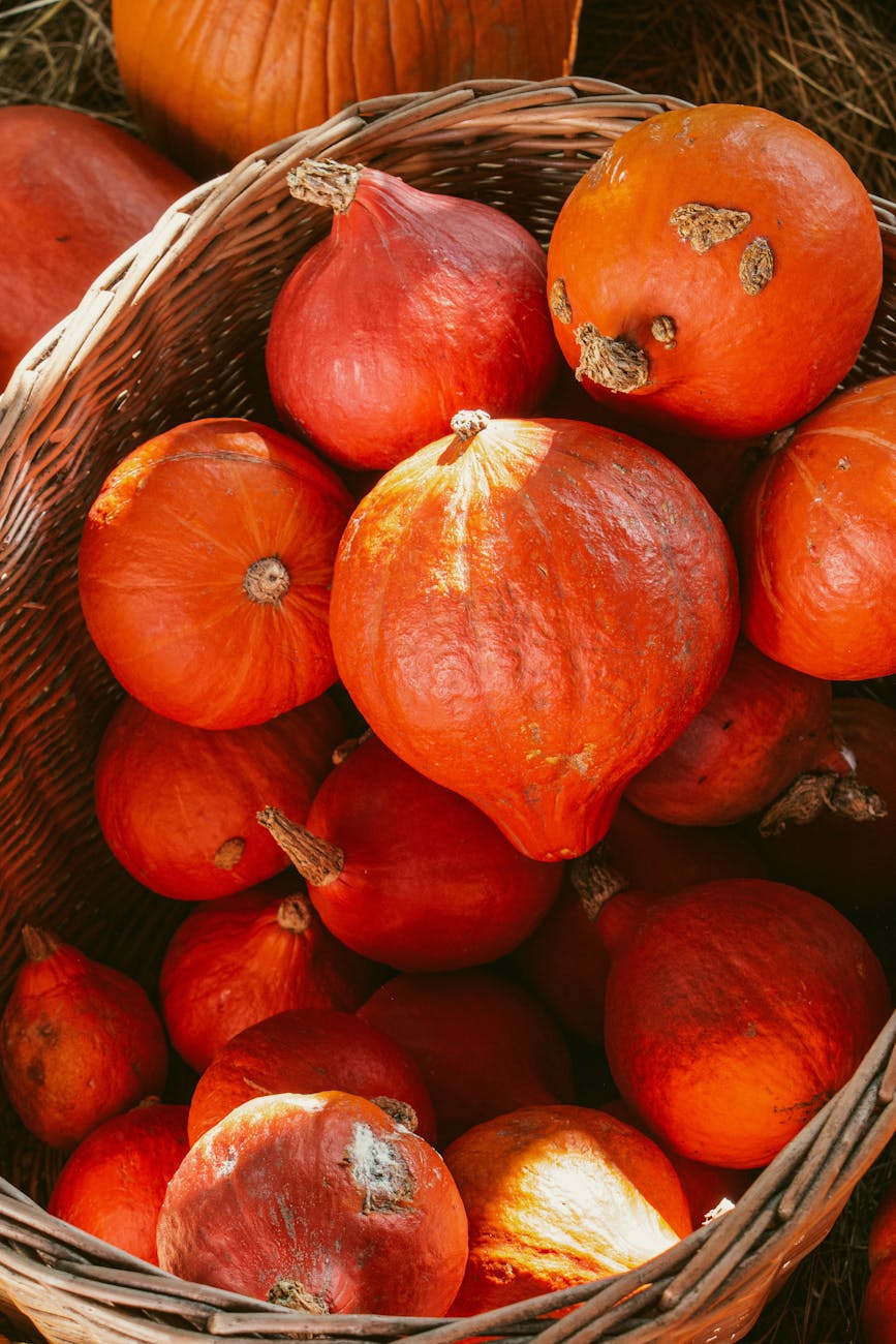 small orange pumpkins in basket