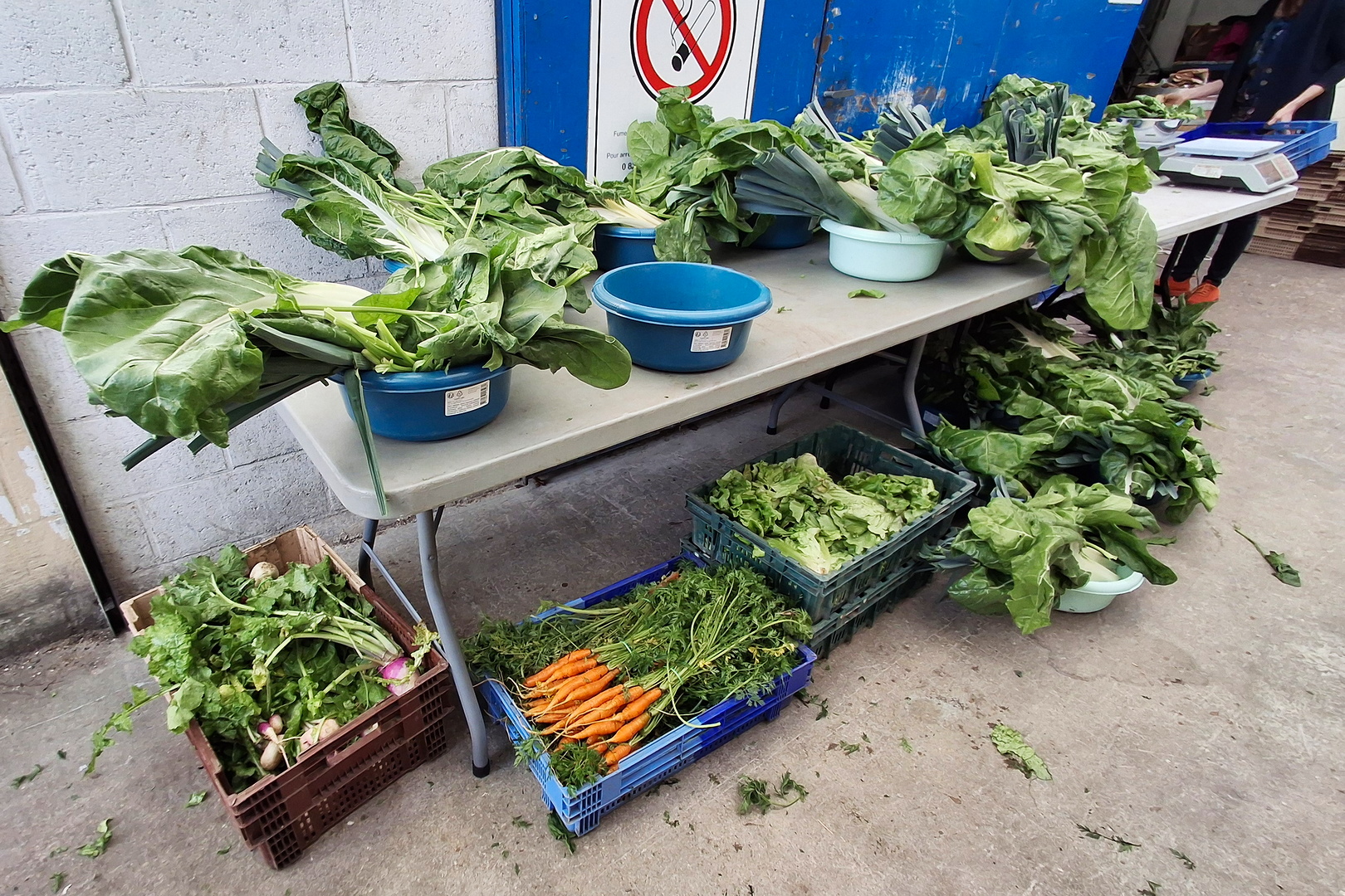 Paniers 2026 – Semaine 16