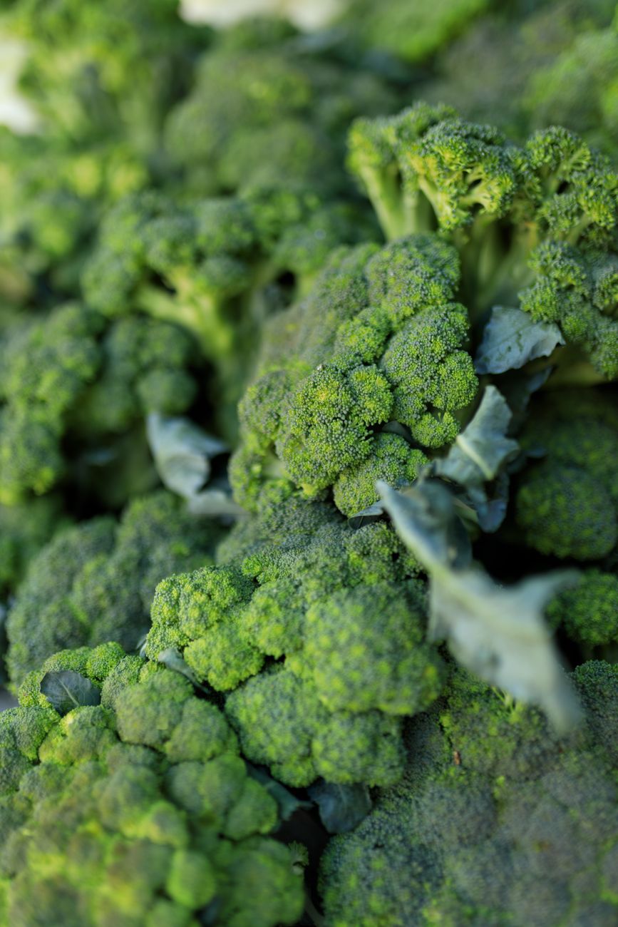 fresh green broccoli close up in natural light