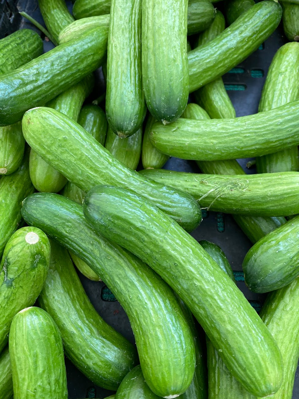 fresh organic cucumbers at a local market