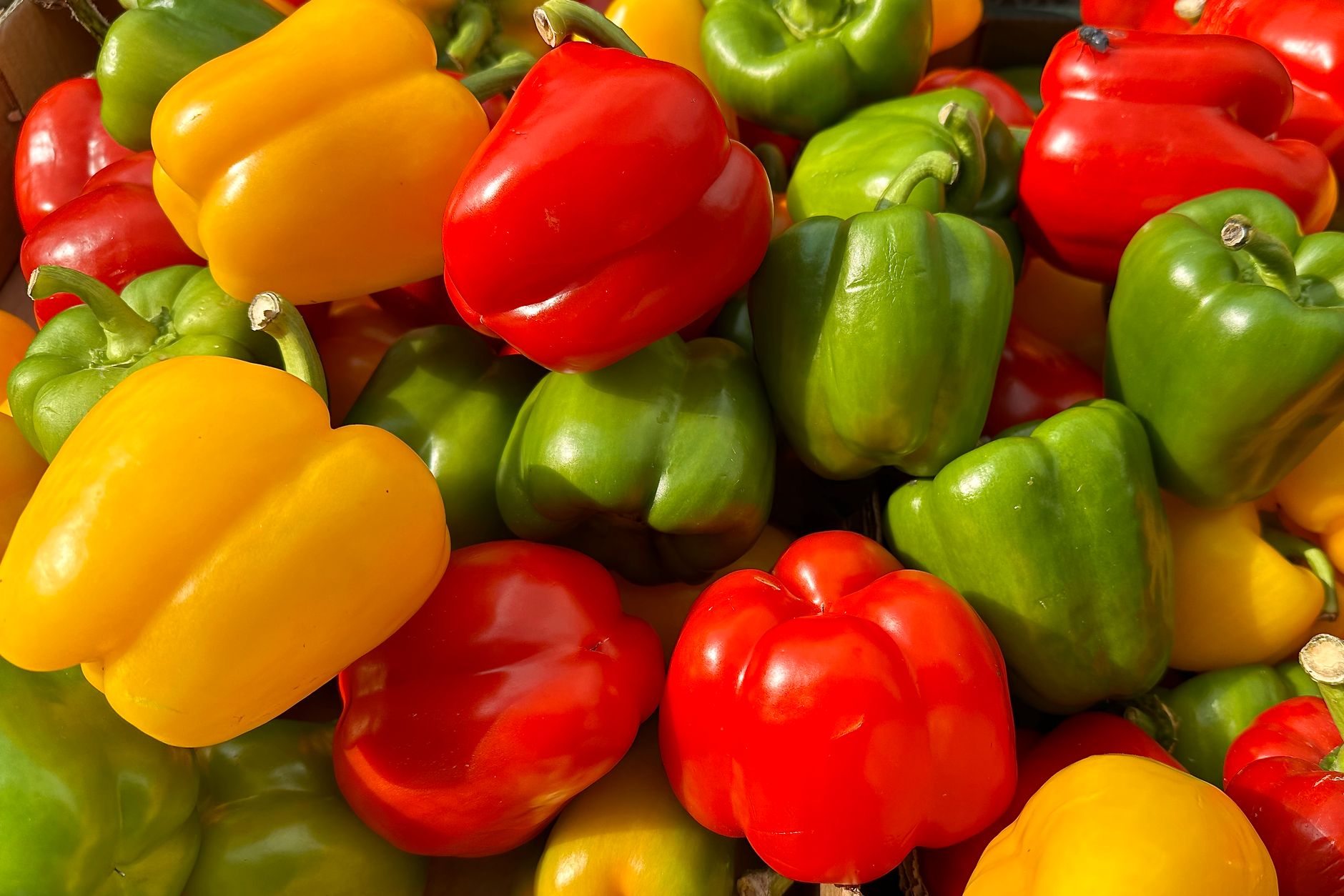 rood groen gele paprika s