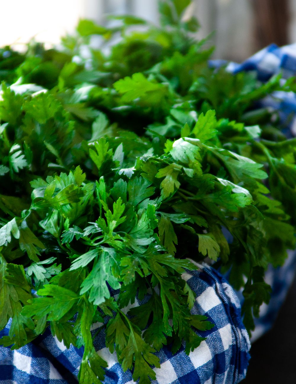 fresh parsley on checkered cloth